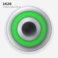 1620 solid oil bearing