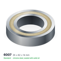 6007 solid oil ball bearing, 35 × 62 × 14 mm, chrome steel, sealed with solid oil