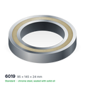 6019 solid oil ball bearing, 95 × 145 × 24 mm, chrome steel, sealed with solid oil
